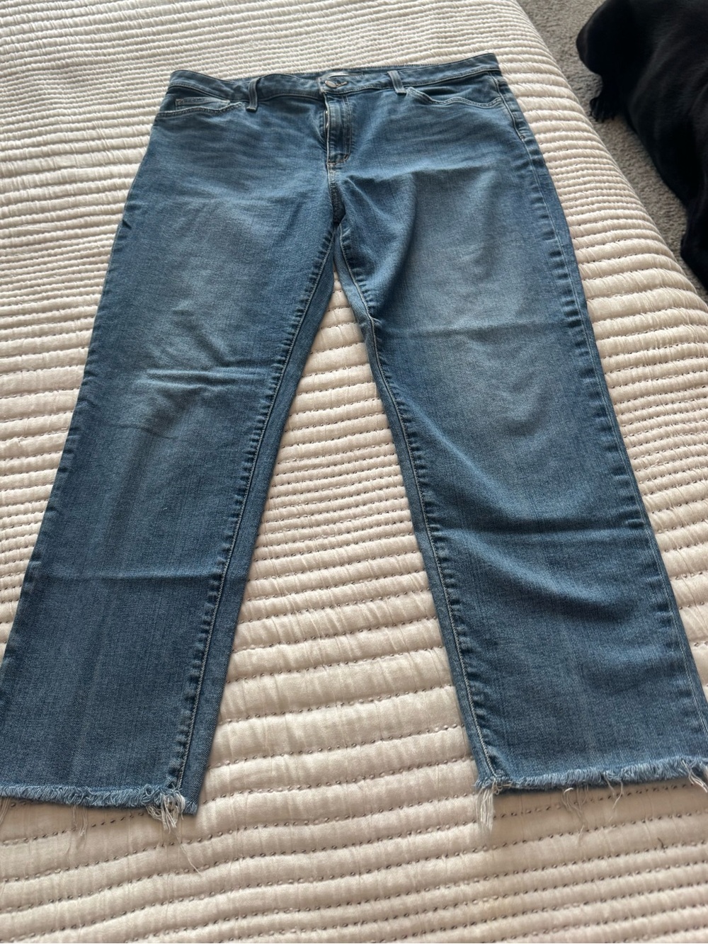 Joe’s Jean -The Scout Women’s Denim